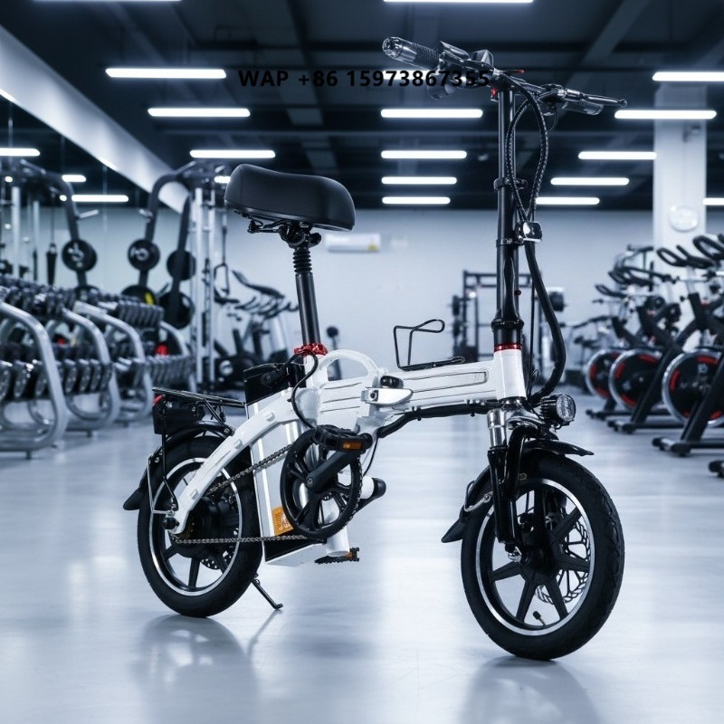 Commuter Biking - Bicicleta Eléctrica Plegable Mini, Suministro de