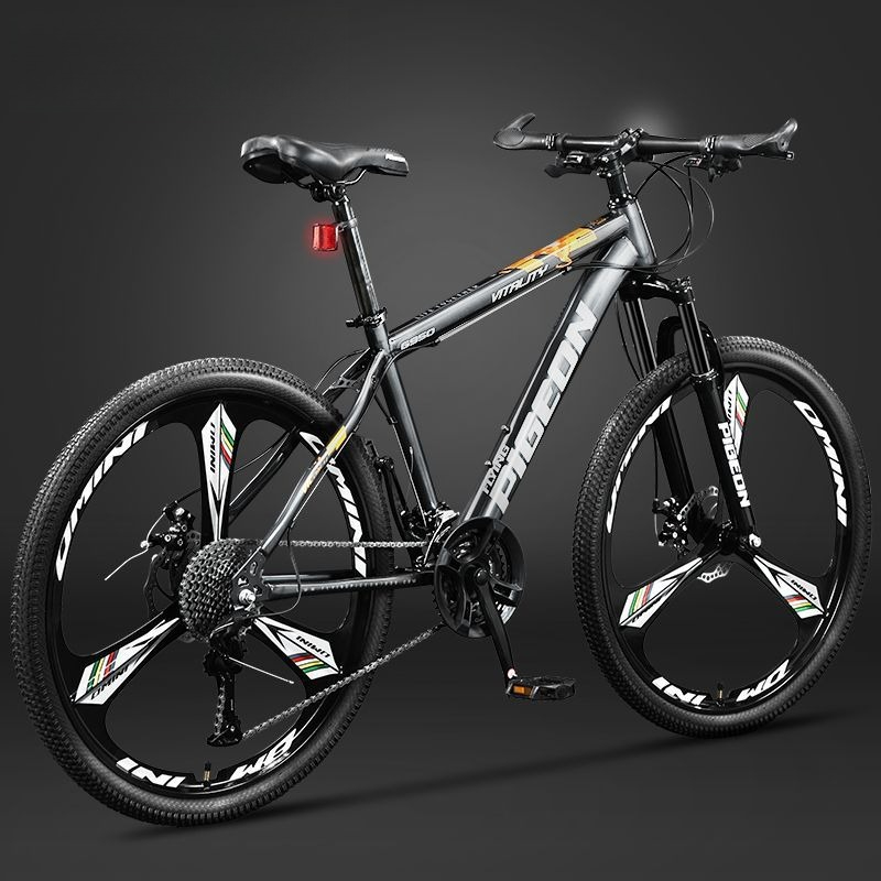Bicicleta de Montaña Unisex Li - Commuter Biking reseña y precio