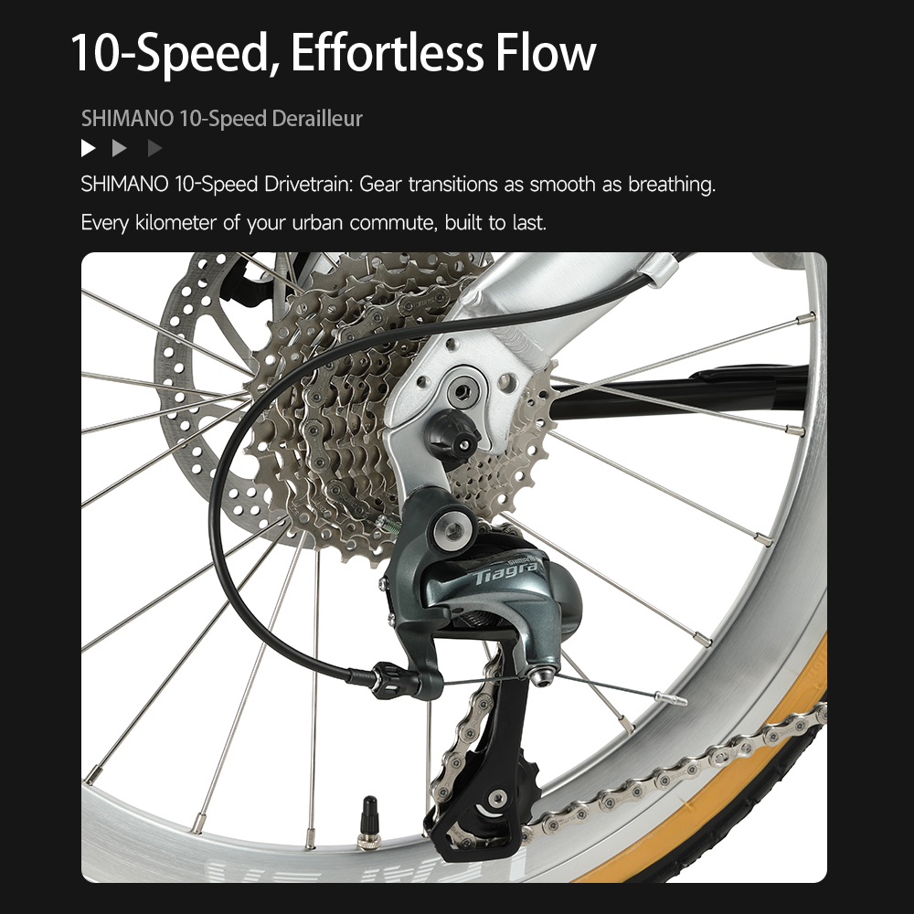 Bicicleta Plegable de Cuero Ma - Commuter Biking reseña y precio