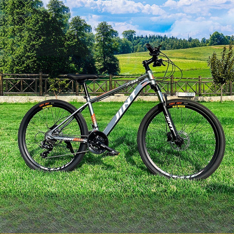 Bicicleta de Carretera de Alum - Commuter Biking reseña y precio